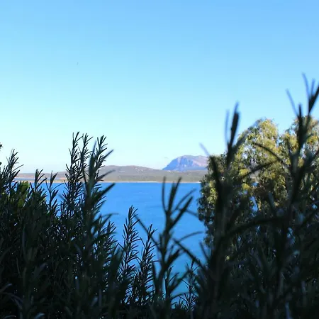 Apartment Casa Vacanze Il Corbezzolo - Golfo Di Marinella *