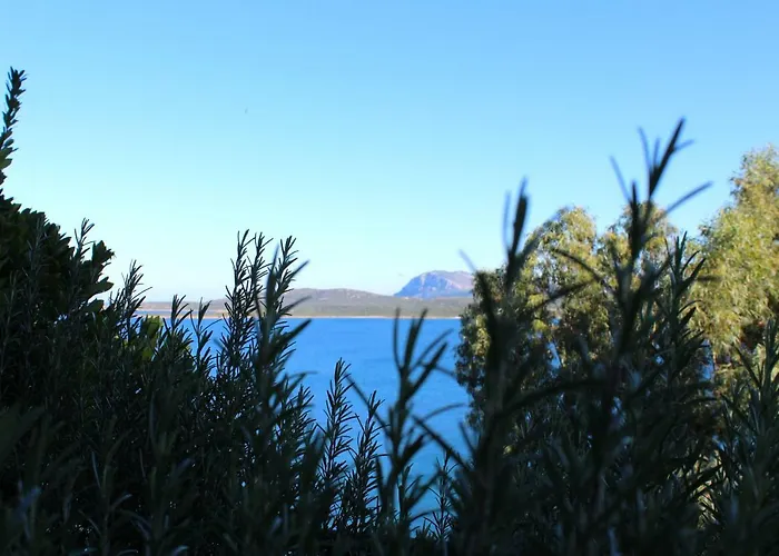 公寓 Casa Vacanze Il Corbezzolo - Golfo Di Marinella *